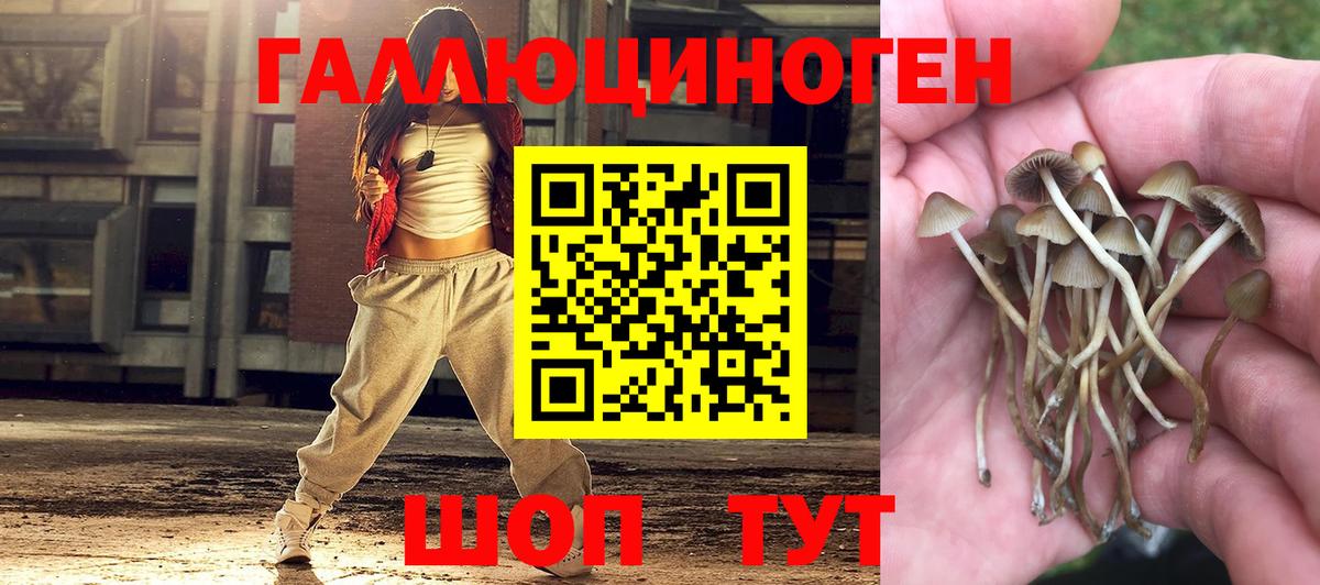 Бошки Шишки Нововоронеж