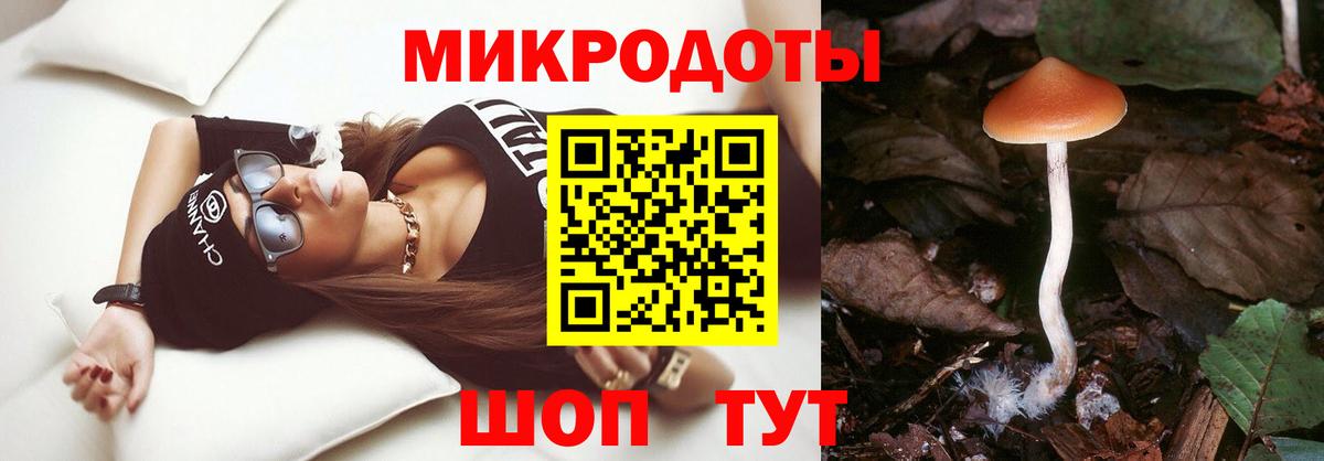 Галлюциногенные грибы GOLDEN TEACHER Нововоронеж